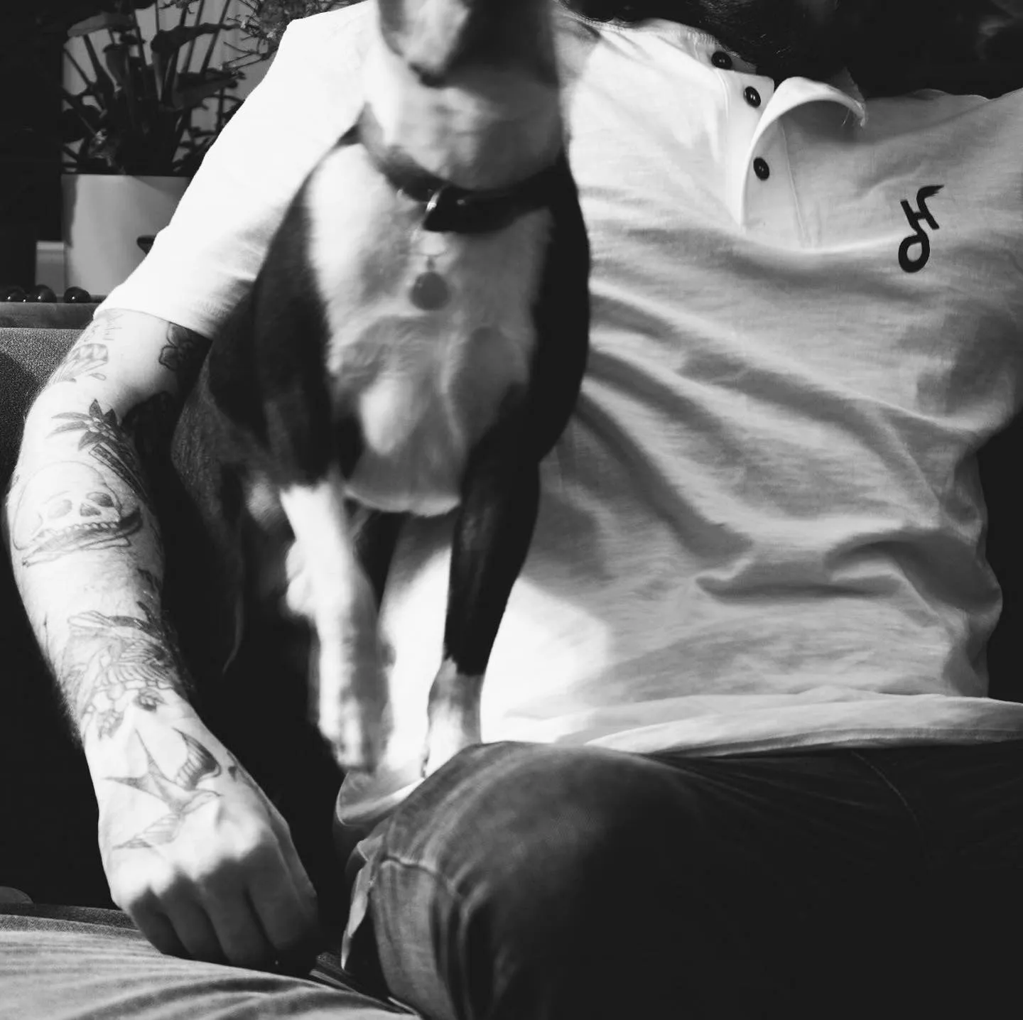 Hoy Downtown Short Sleeve Henley T-Shirt - White - Last Two
