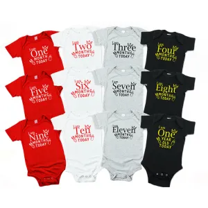 Milestone Multi colour Printed  Baby Romper - Pack of 12