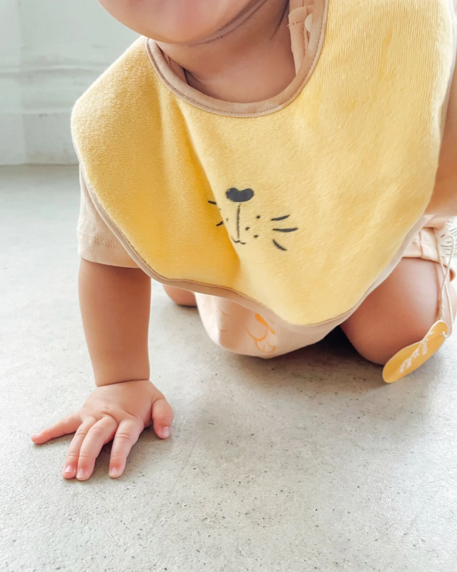 The Lion King Bib