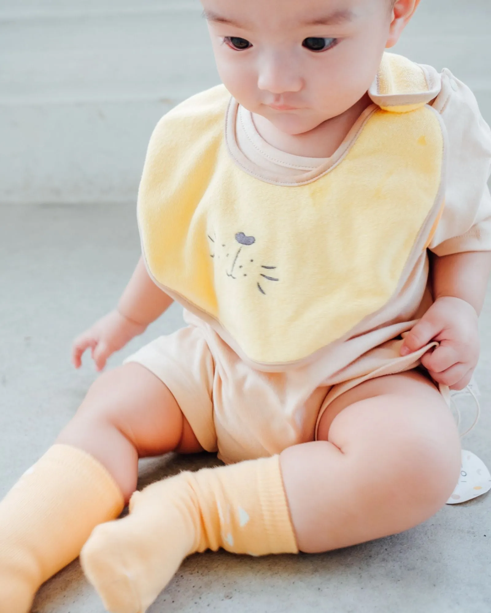The Lion King Bib